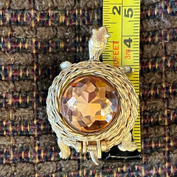 A Trio of Turtles - Picture 8 of 11